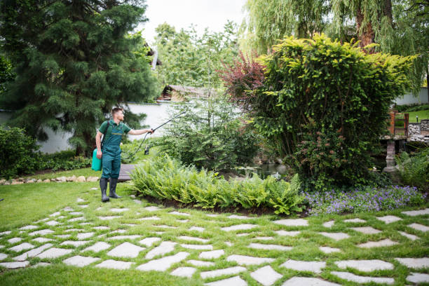 Professional Pest Control in Cleveland, TX