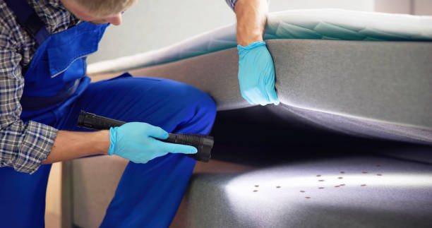 Best Termite Control Services  in Cleveland, TX