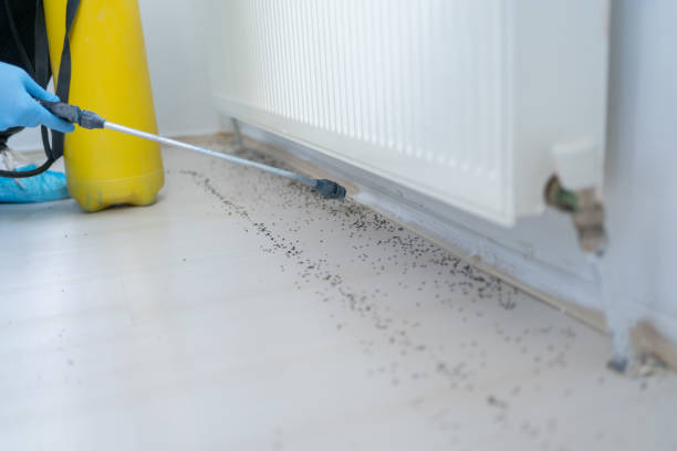 Best Cockroach Control Services  in Cleveland, TX