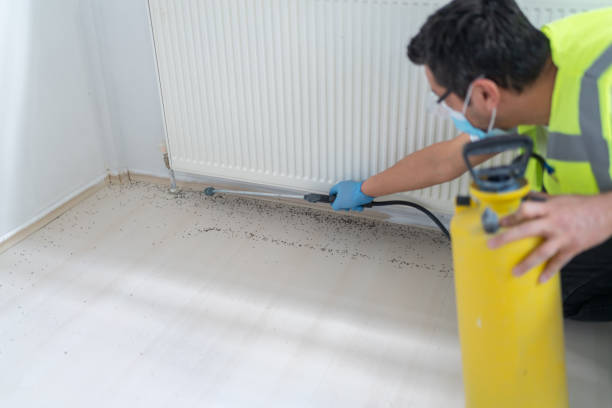 Best Commercial Pest Control Services  in Cleveland, TX