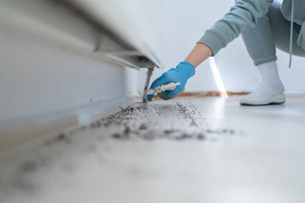 Best Pest Removal Services  in Cleveland, TX