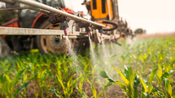 Best Wildlife Control Services  in Cleveland, TX